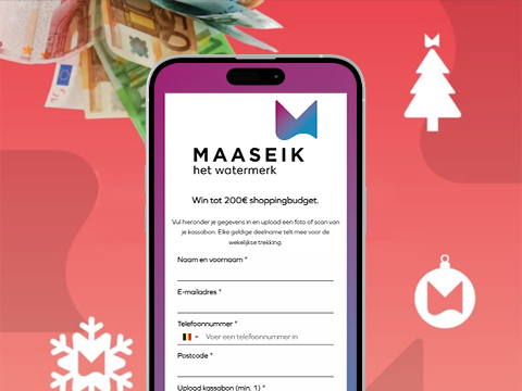 Ciudad de Maaseik use case